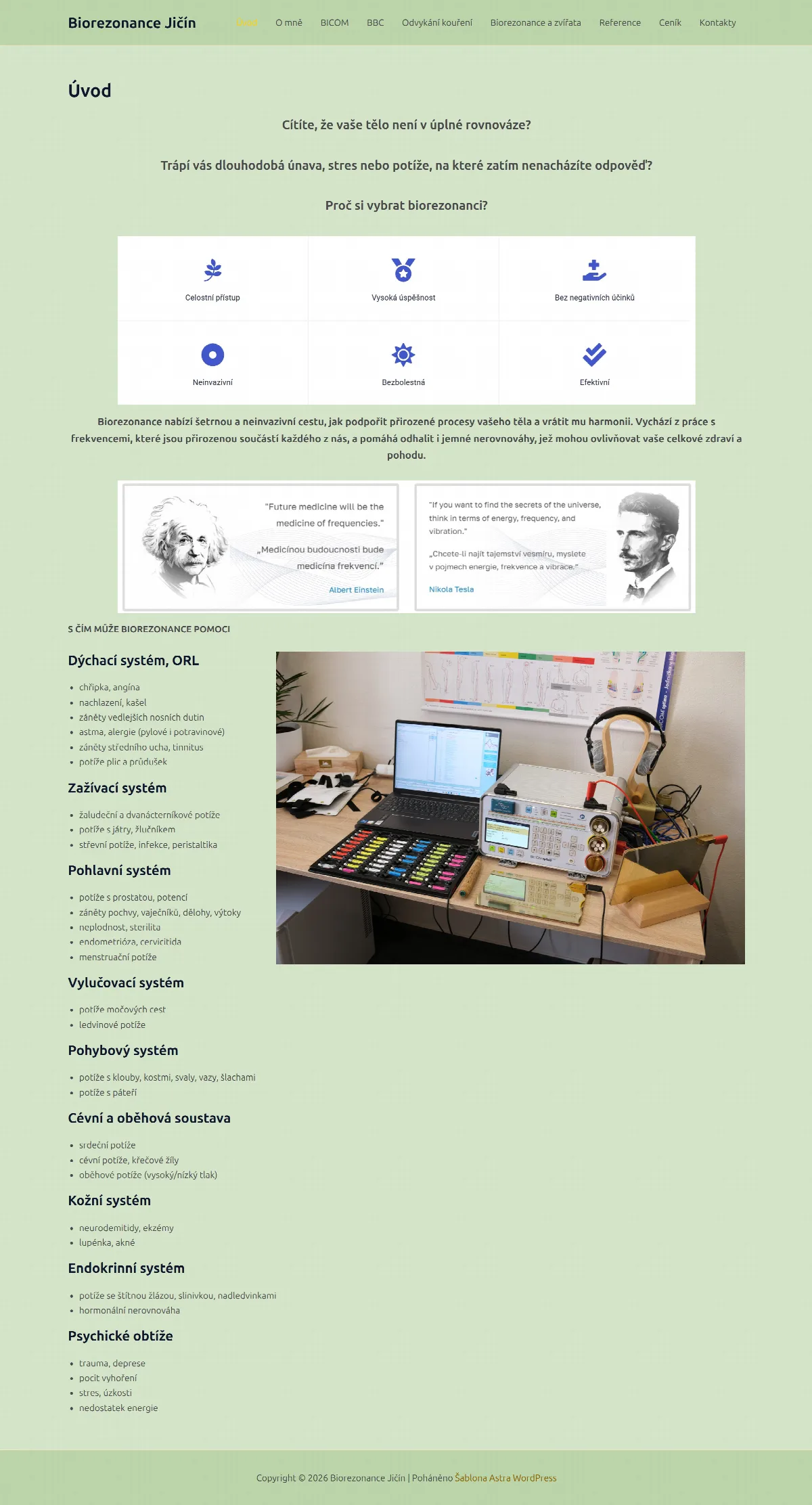 Původní web Biorezonance Jičín na šabloně WordPressu, celá stránka